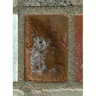 Stone 9Lb34 from the Stone Wall at NIST