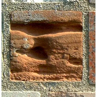Stone 9Lb44 from the Stone Wall at NIST