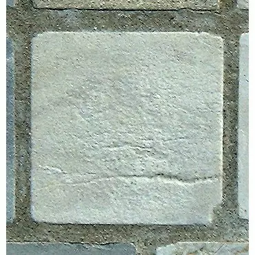 Stone 9Lb5 from the Stone Wall at NIST