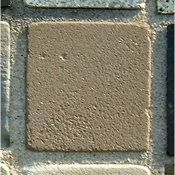 Stone 9RA41 from the Stone Wall at NIST