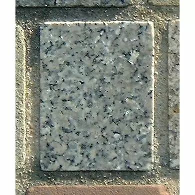 Stone 9RB23 from the Stone Wall at NIST