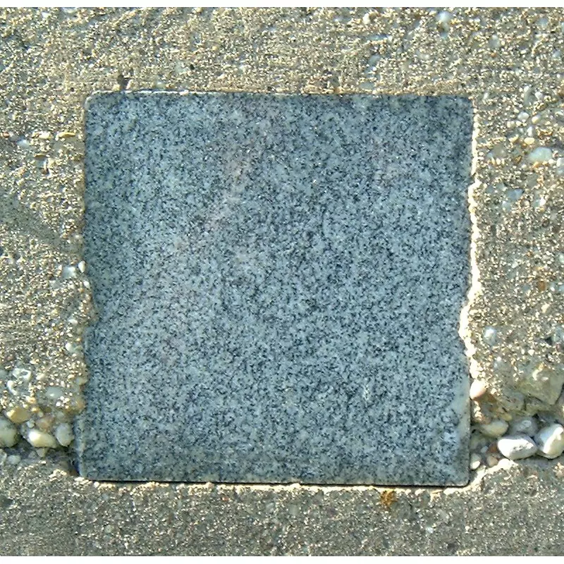 Stone S1-20 from the Stone Wall at NIST