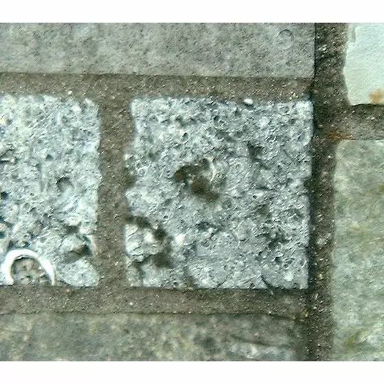 Stone S2-3 from the Stone Wall at NIST