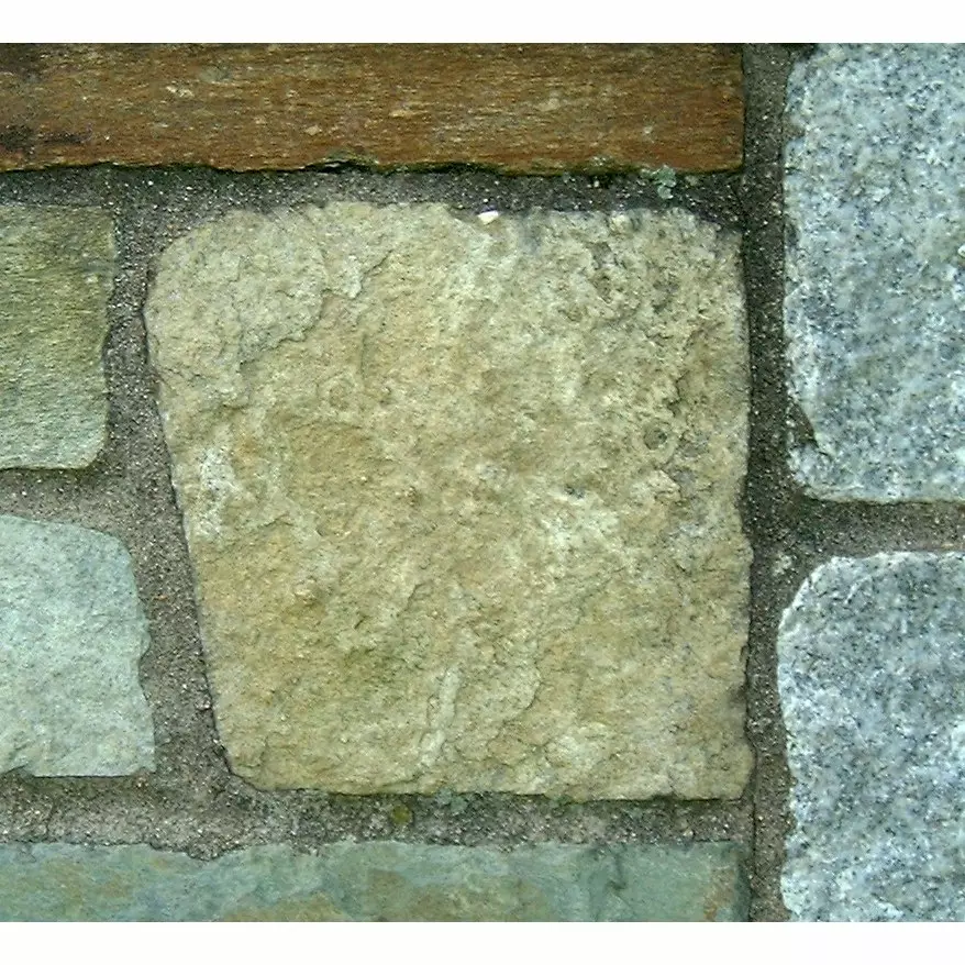 Stone S2-36 from the Stone Wall at NIST