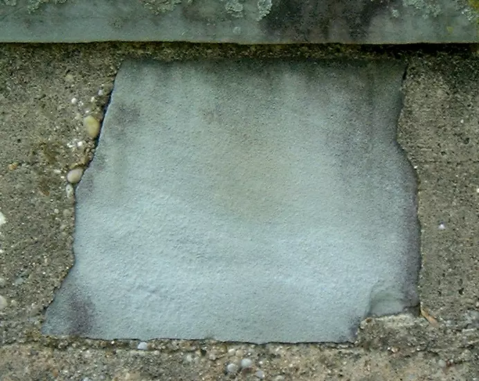Stone S2-38 from the Stone Wall at NIST