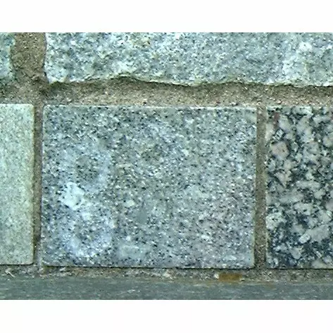 Stone S2-51 from the Stone Wall at NIST