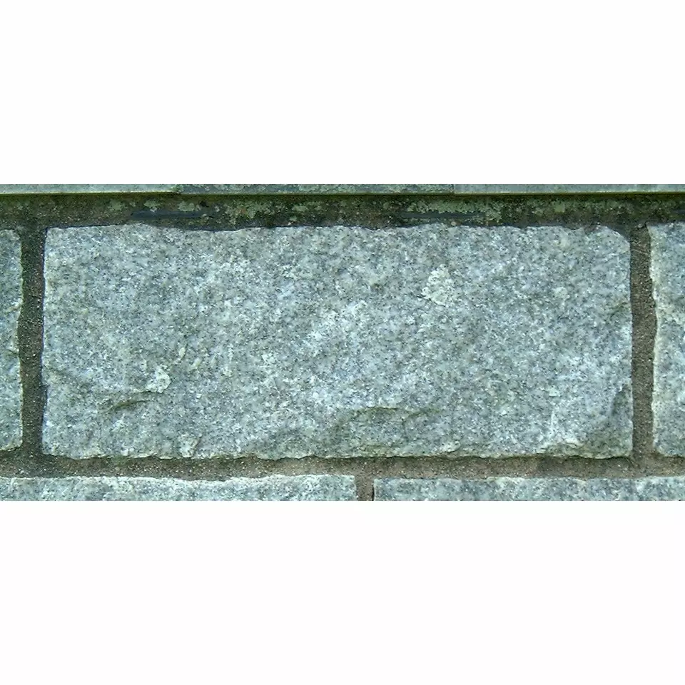 Stone S2-61 from the Stone Wall at NIST