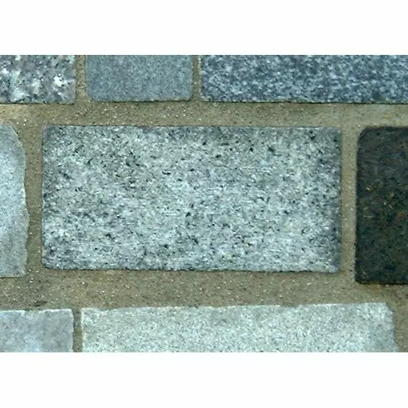 Stone S2-81 from the Stone Wall at NIST