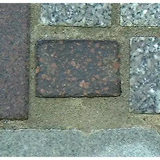 Stone S2-87 from the Stone Wall at NIST