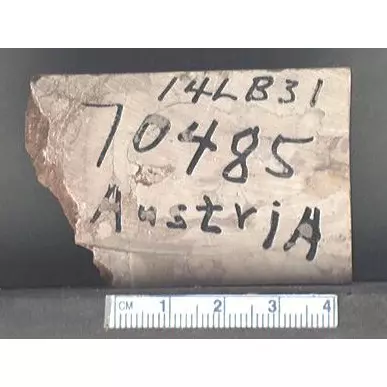 Archive photo of Stone: 14LB31