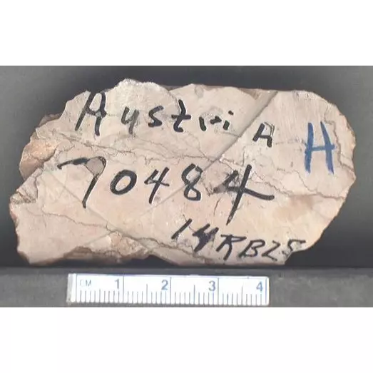 Archive photo of Stone: 14RB25