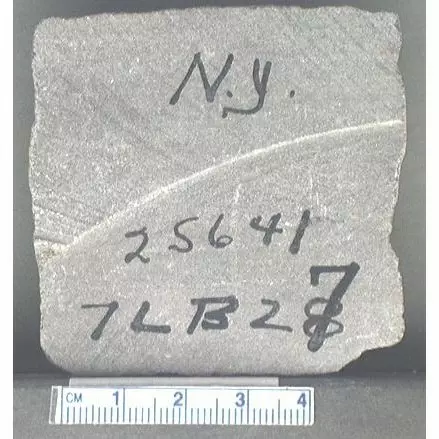 Archive photo of Stone: 7LB27