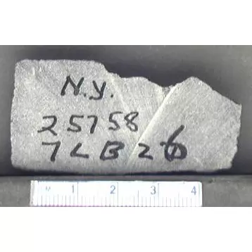 Archive photo of Stone: 7Lb26