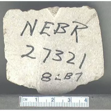 Archive photo of Stone: 8LB7