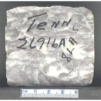 Archive photo of Stone: 8La5