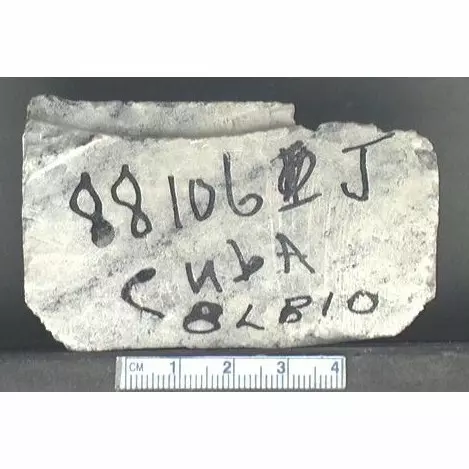 Archive photo of Stone: 8Lb10