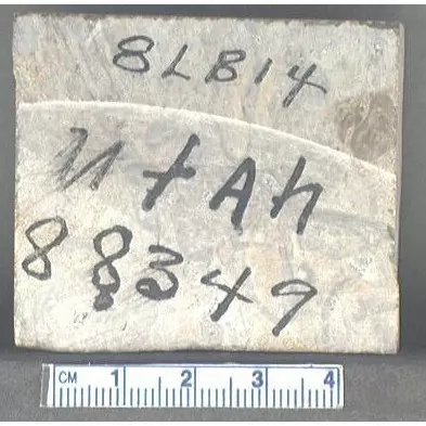 Archive photo of Stone: 8Lb14