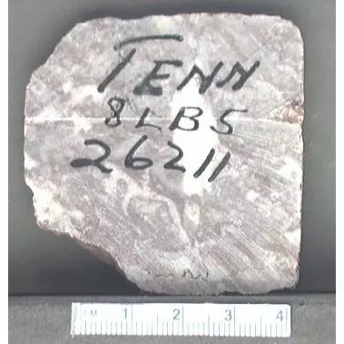 Archive photo of Stone: 8Lb5