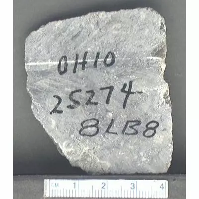 Archive photo of Stone: 8Lb8