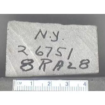 Archive photo of Stone: 8RA28