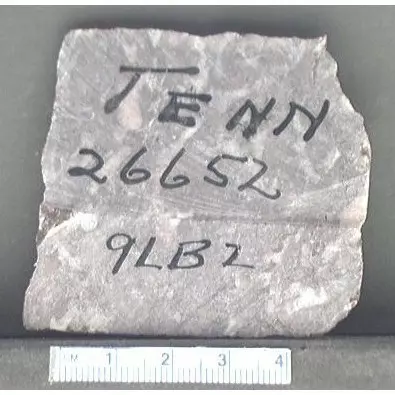 Archive photo of Stone: 9Lb2