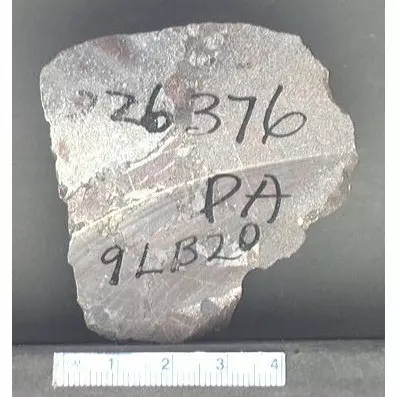 Archive photo of Stone: 9Lb20