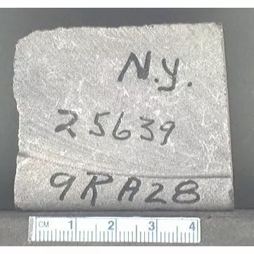 Archive photo of Stone: 9RA28