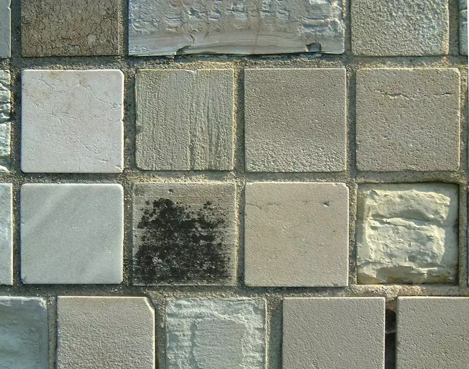 Stone Wall area surrounding Stone: 9RA15