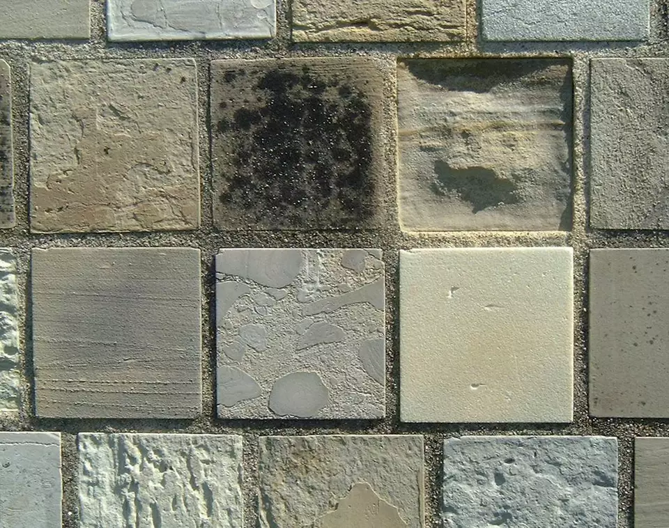 Stone Wall area surrounding Stone: 13RB14