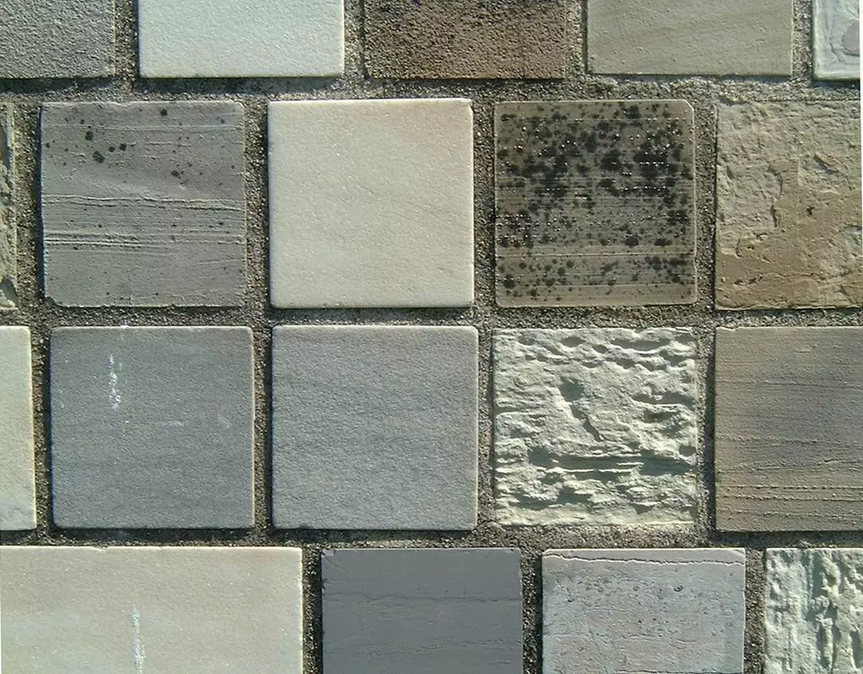 Stone Wall area surrounding Stone: 13RA16