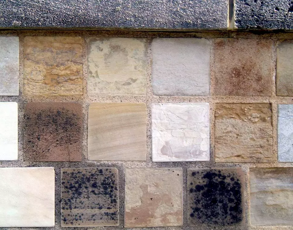 Stone Wall area surrounding Stone: 14RA18