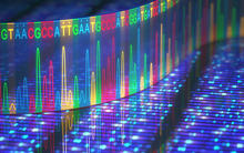 a stylized graphic of a ribbon of multicolored A's, C's, T's, and G's astride an electrophoresis readout