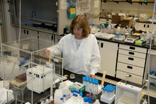 NIST scientist with jars of baby food and scientific equipment