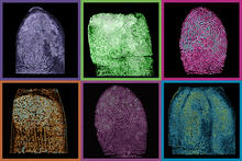 Grid showing six fingerprints in different false colors.