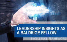 Leadership Insights as a Baldrige Fellow showing a businessman holding a light bulb that says Fellows Insights