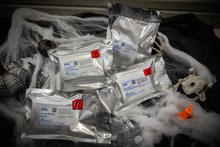 Several metallic envelopes with NIST labels are displayed with Halloween decorations like cobwebs, skeletons and pumpkins.