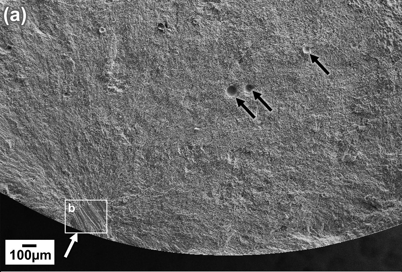 Fracture surface of additive manufactured titanium alloy