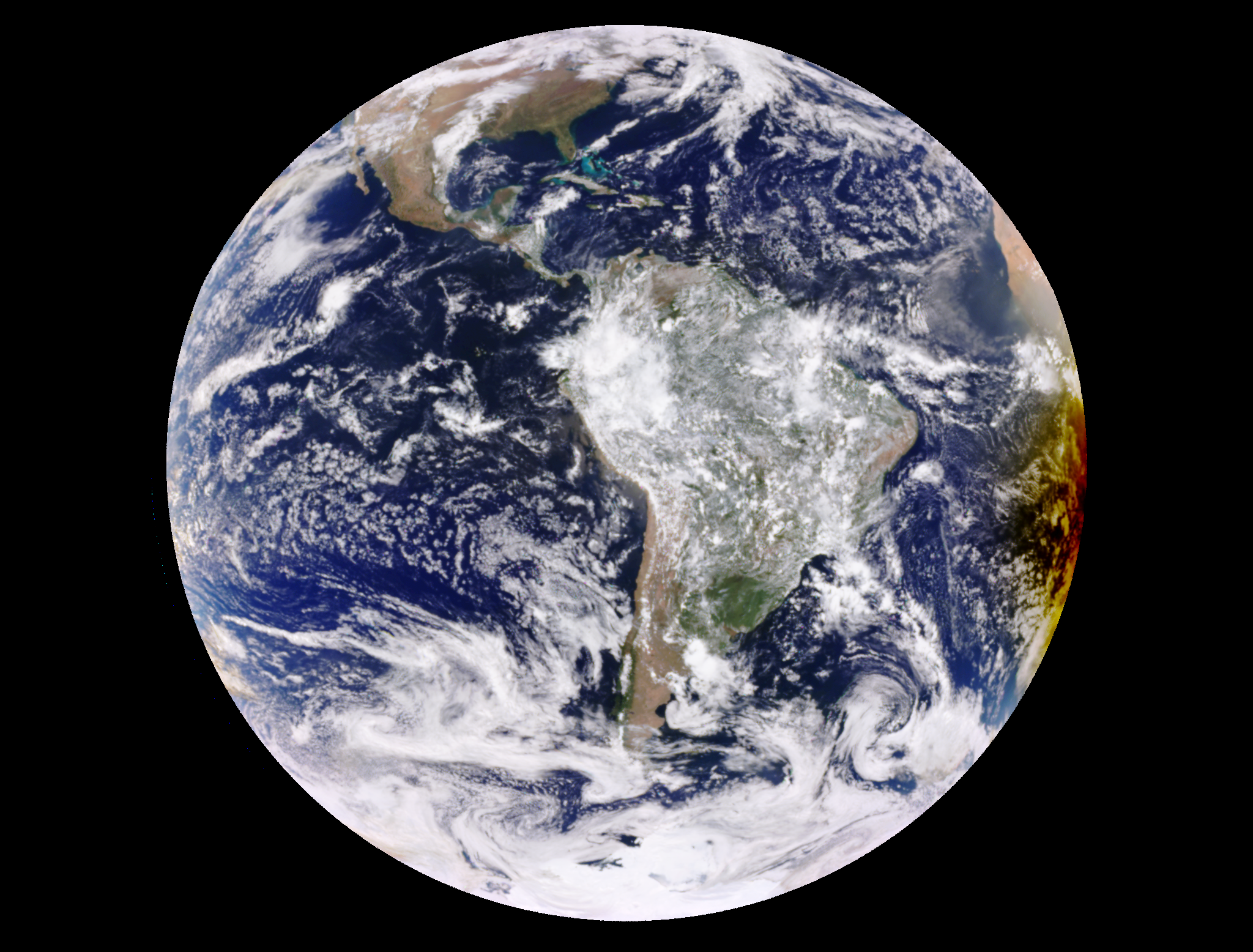 ワールドレップサービス アースカード 新品未開封 EARTH CARD 2025年