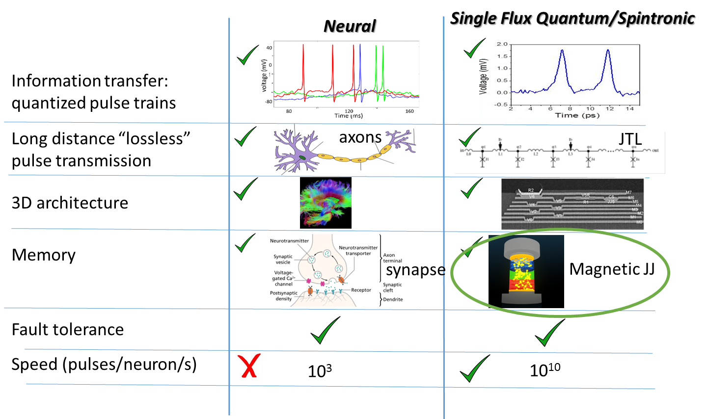 neuromorphic systems