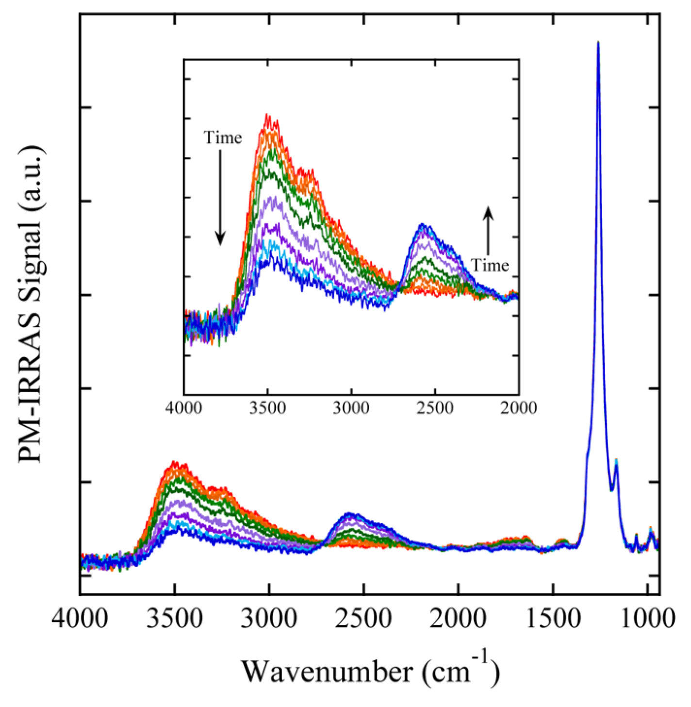 Polarization Modulation Infrared Reflection Absorption (PM-IRRAS ...