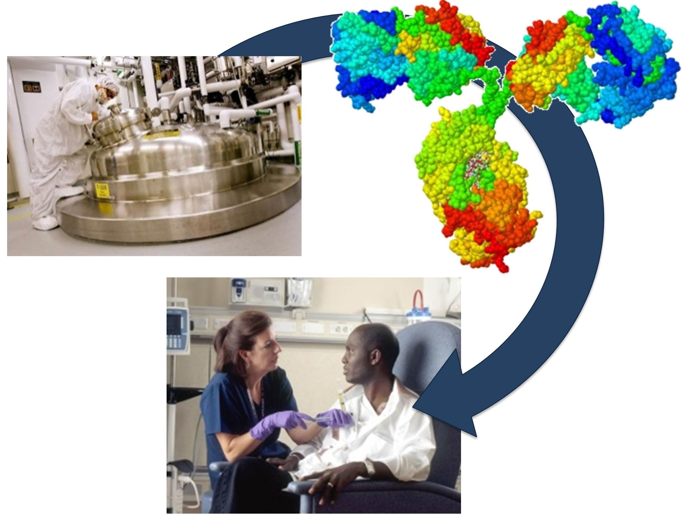 Biomanufacturing Program | NIST