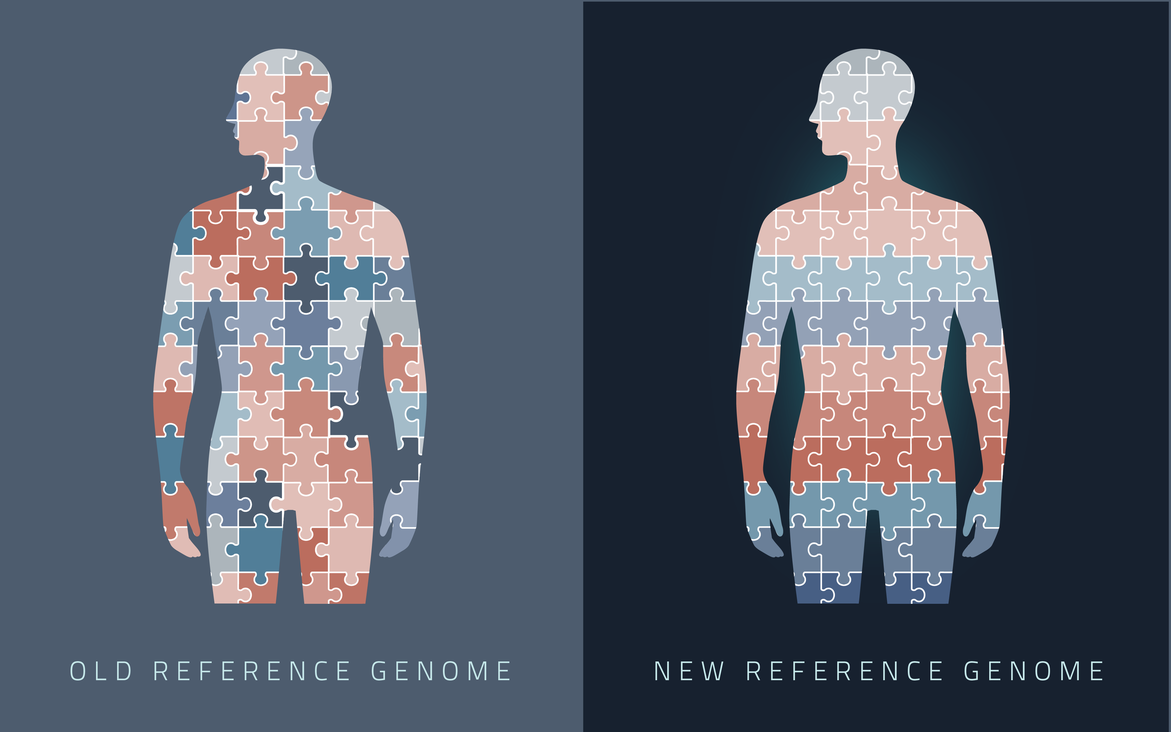 First Complete Human Genome Poised to Strengthen Genetic Analysis