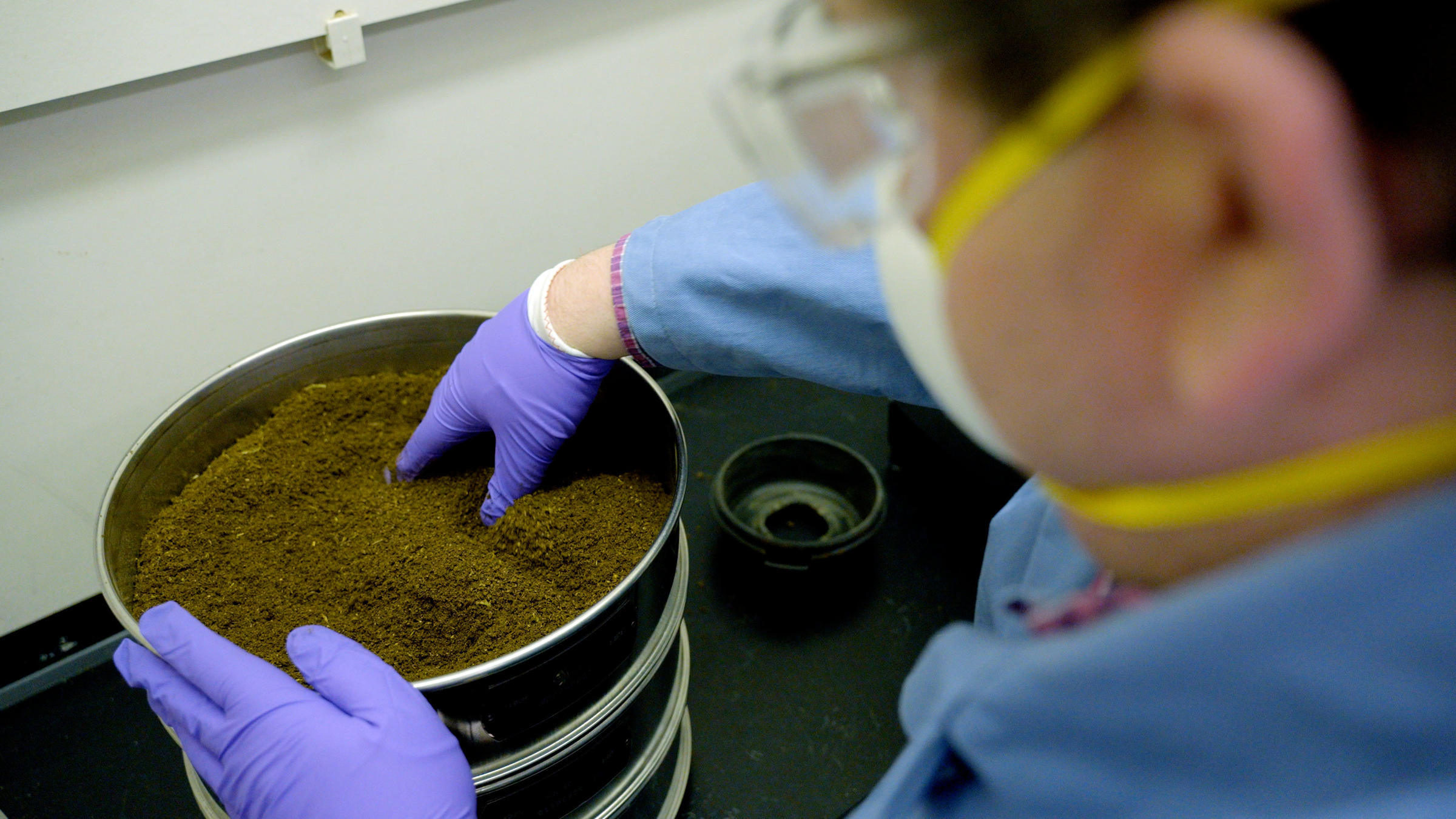 NIST's New Hemp Reference Material Will Help Ensure Accurate
