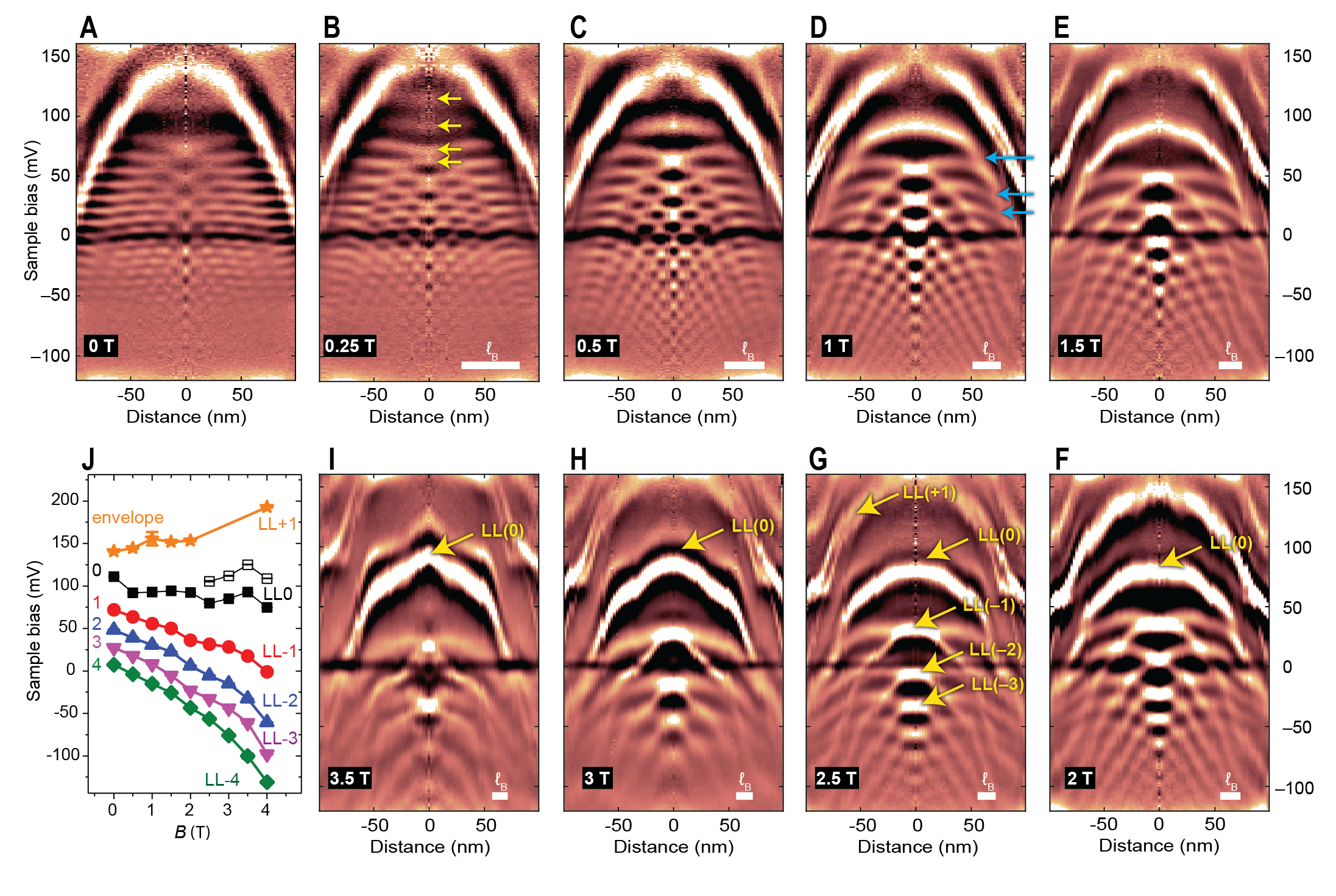 Visualization of the condensation of states from spatial to magnetic ...