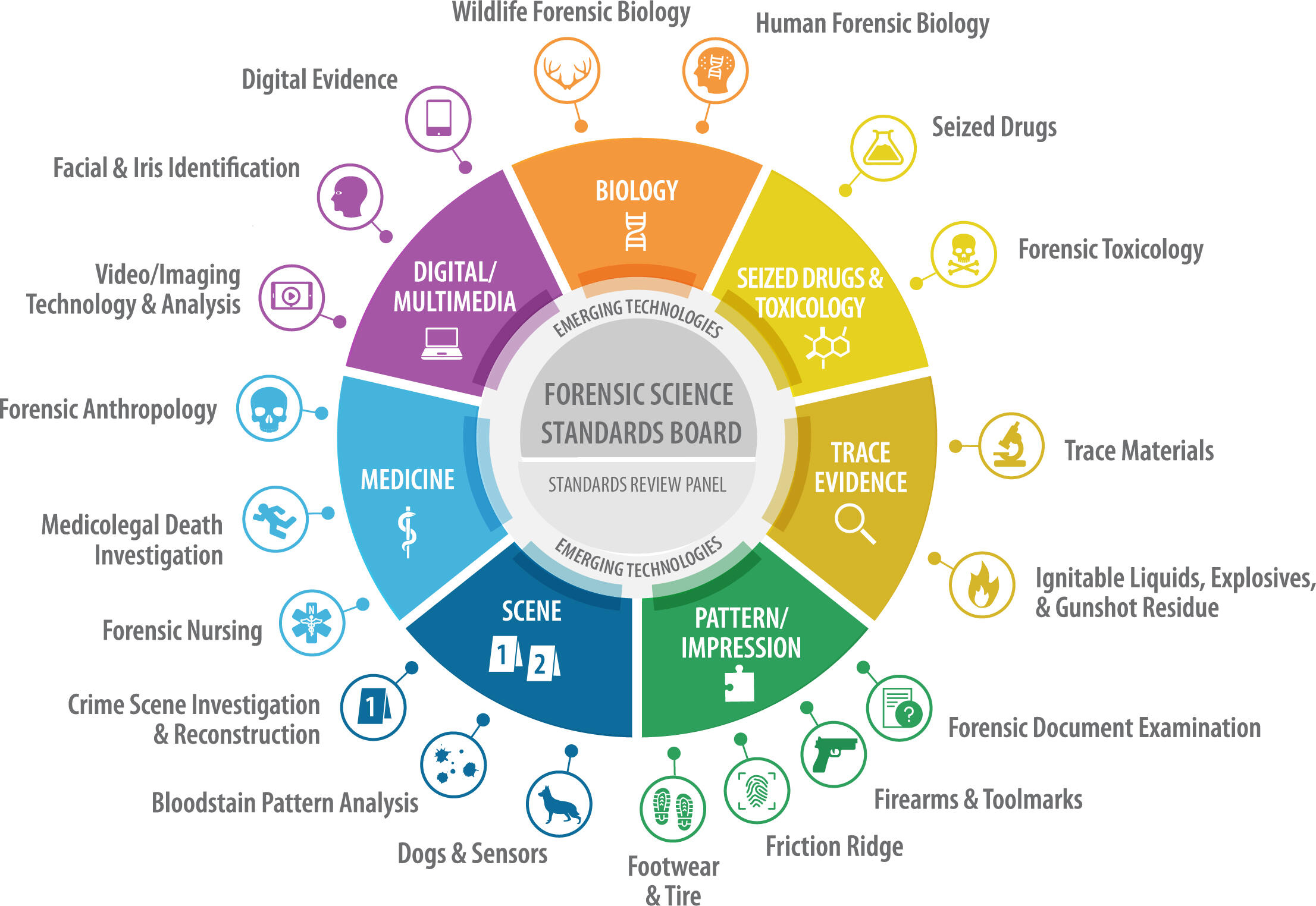 OSAC Organizational Structure | NIST