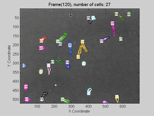 compressed_live_cell_trackerdemo.gif