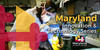 Banner Image that says Maryland Innovation and Technology Series: Neurotechnology