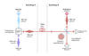 photon interference diagram