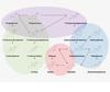 Steroid Hormone Pathway Mapping