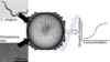 C. elegans toxicity assay 